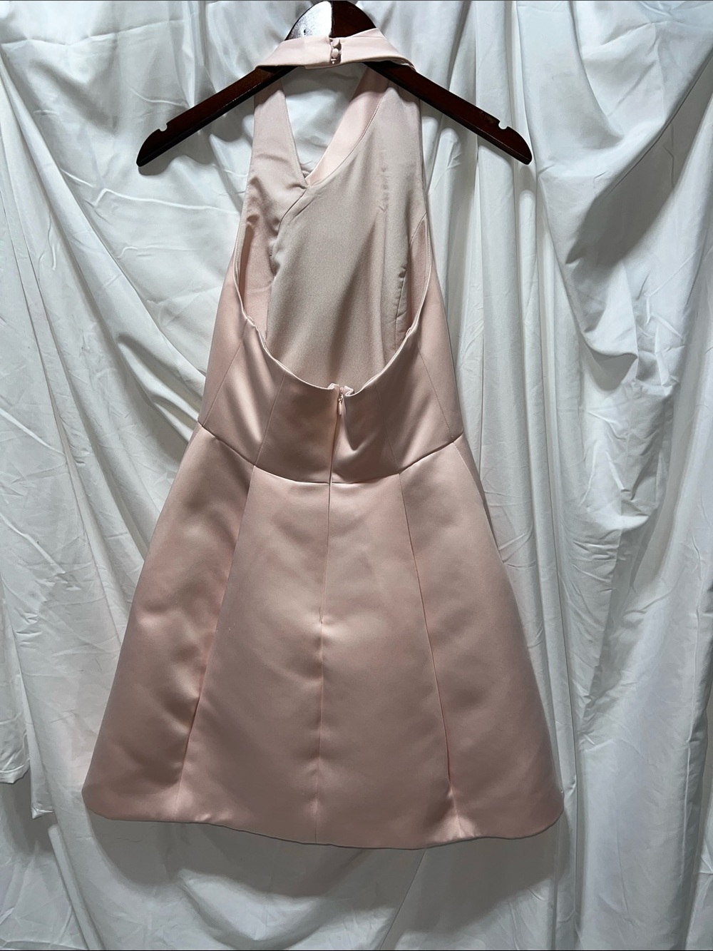 Halston Heritage Blush Pink Dress - Picture 2 of 11